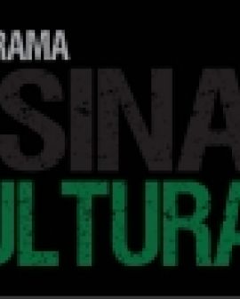 Imagem de Em busca de melhorias para a cultura