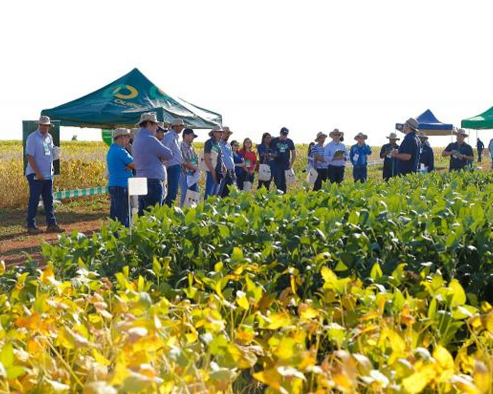 Imagem de 2º Tour da Soja movimenta agricultores do Sudoeste goiano