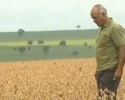 Imagem de Agricultores reclamam do excesso de chuva