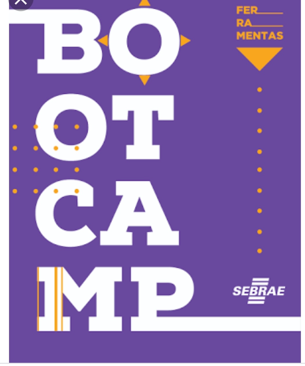 Imagem de Bootcamp - capacitação auxilia a iniciar ou redesenhar o modelo de negócios